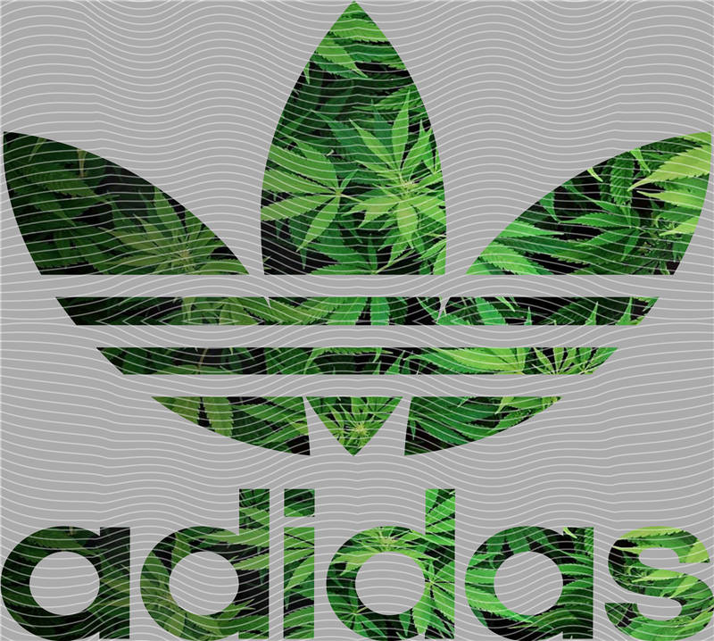 Adidas-AD 131